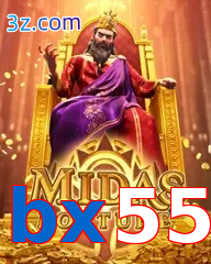 bx55
