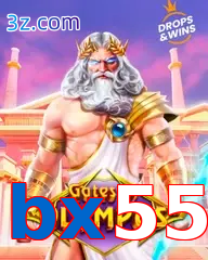 bx55